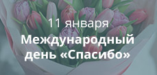 День спасибо